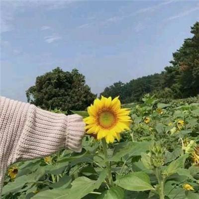 毒江湖最新版下载